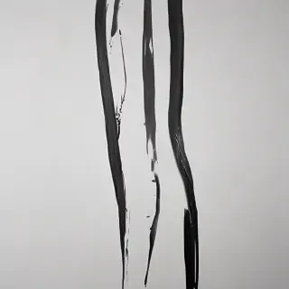 black line png