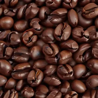 coffee bean png