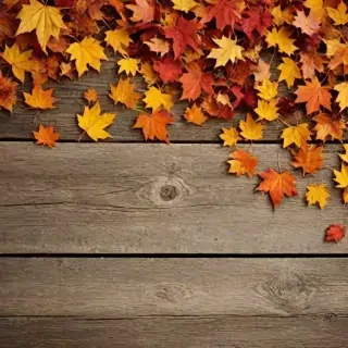 fall background wallpaper iphone
