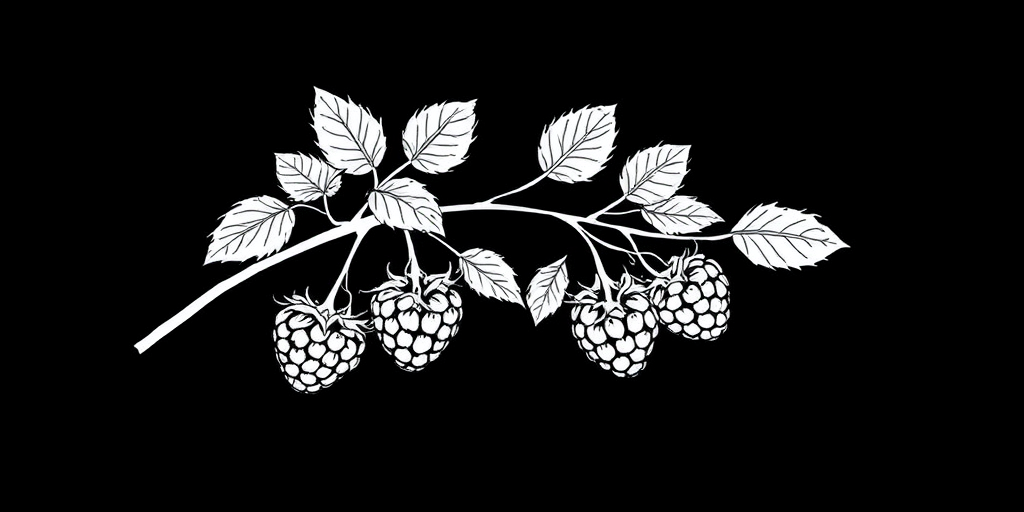 a black background featuring a delicate white line drawing of a branch with raspberries and leaves