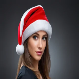 christmas hat .png