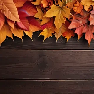 fall wallpaper for iphone