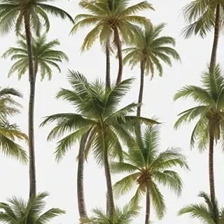 palm tree transparent
