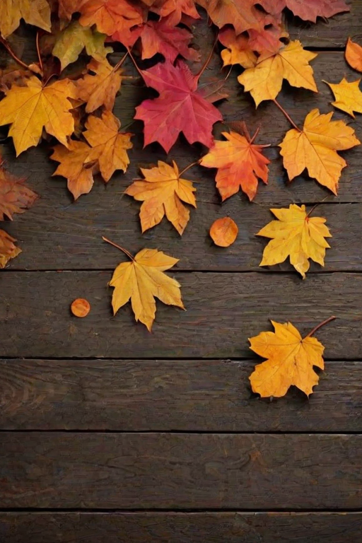 autumn leaves iphone wallpaper