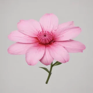 pink flower png