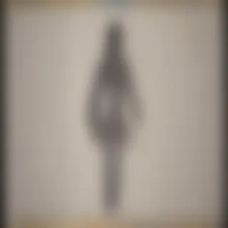 female sign