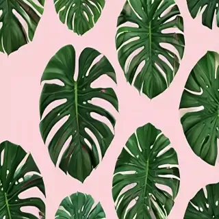 aesthetic monstera wallpaper