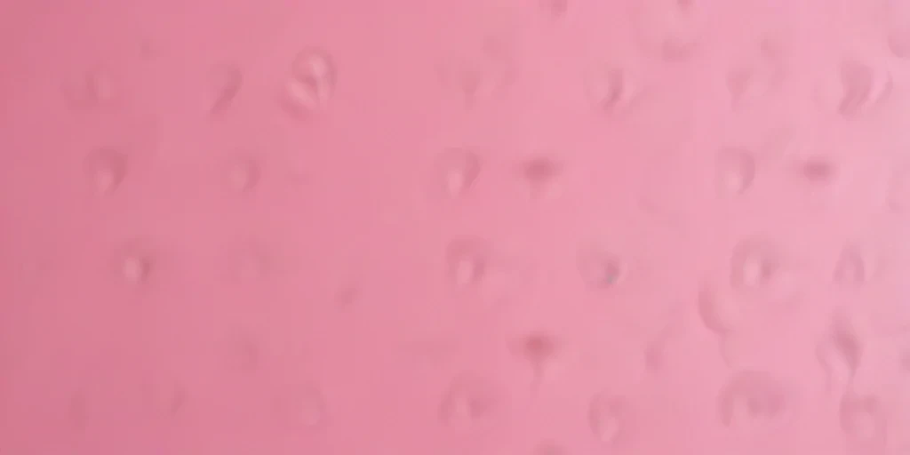 plain pink wallpaper