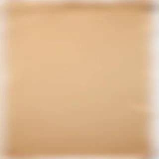 transparent ripped paper png