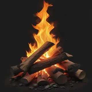 camp fire png