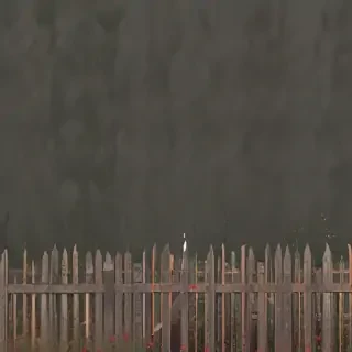 border bg