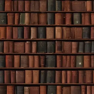 books icon aesthetic