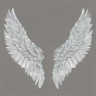 transparent angel wings png