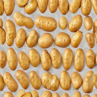 potato transparent background