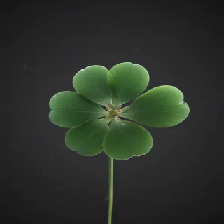 clover png