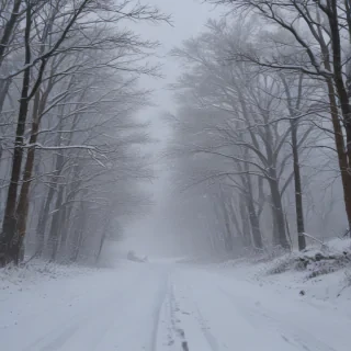 snow falling png