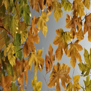 leaves no background