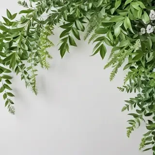 white and greenery background