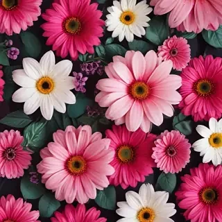 iphone backgrounds flowers