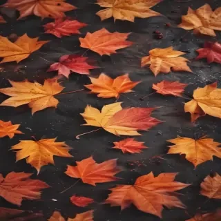 cute fall iphone wallpaper
