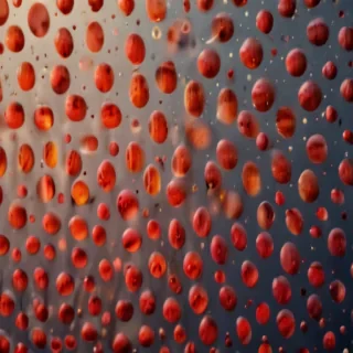 polka dots transparent