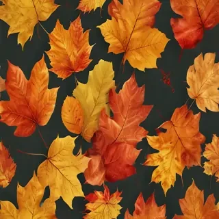 autumn leaves png