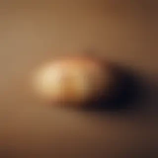 simple iphone wallpaper