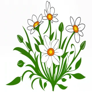 flower clipart transparent