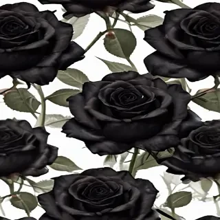 black roses png