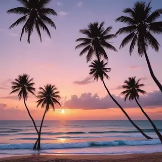aesthetic wallpapers beachy