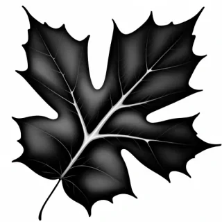 leaf clipart black and white