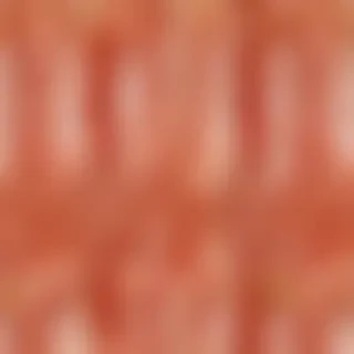 bacon png
