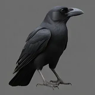 crow png