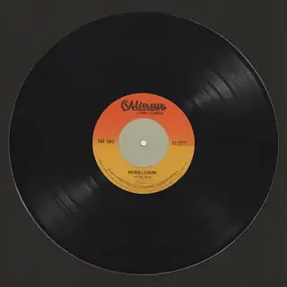 vinyl record png