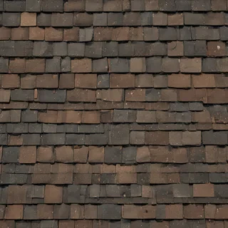 shingles images