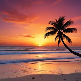 sunset on the beach backgrounds