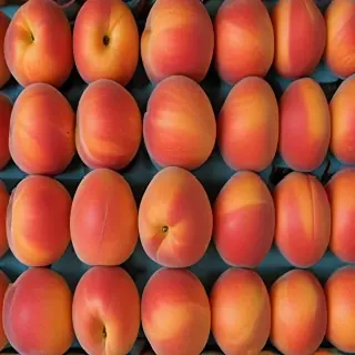 peaches background