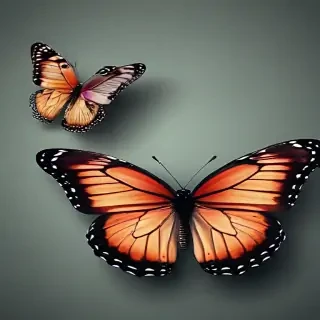 butterfly iphone wallpaper