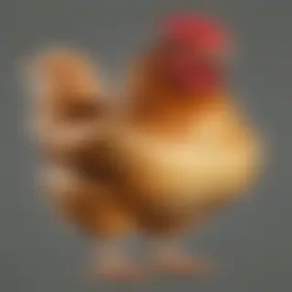 chicken transparent