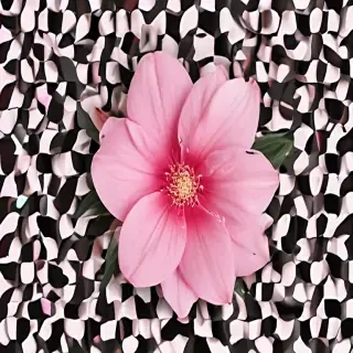 pink flower png