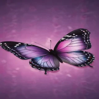 wallpaper iphone butterfly