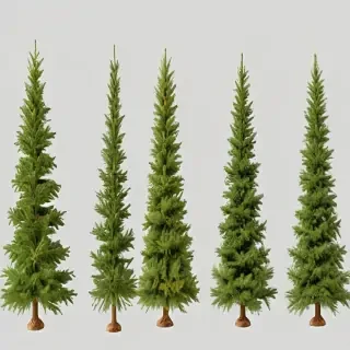 christmas trees transparent background