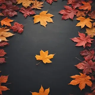 fall wallpaper iphone