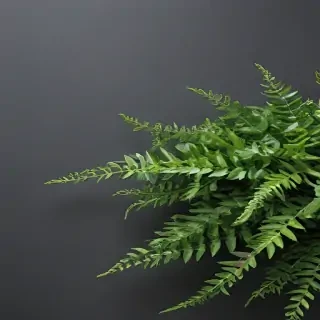 greenery border