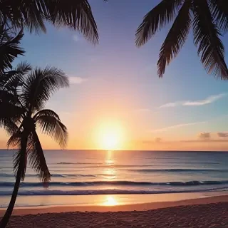 summer iphone wallpaper