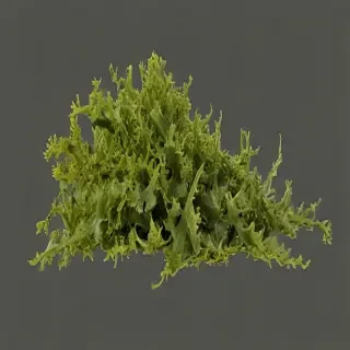seaweed png
