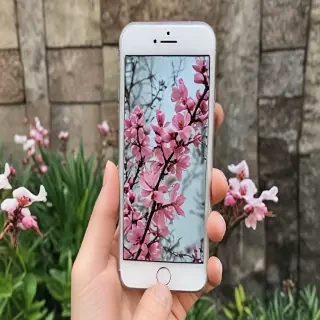 spring iphone