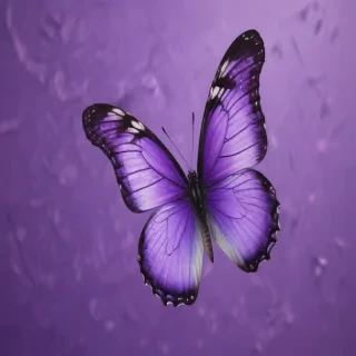 butterfly purple background