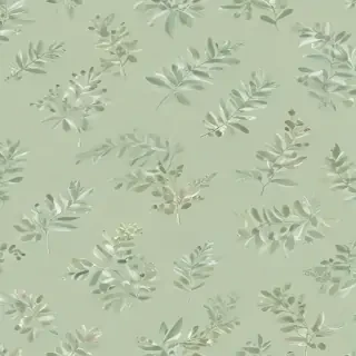 light sage green background