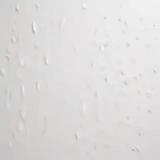white background
